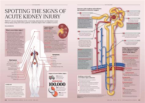 Warning Signs Of Kidney Damage