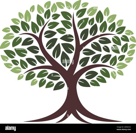 Image result for Tree Drawing Transparent Background