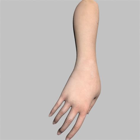 Image result for Female Hand 3D Modeling