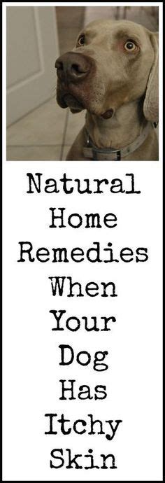 home remedies itchy skin