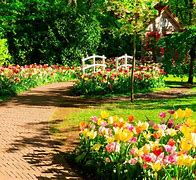 Image result for Most Beautiful Flower Gardens