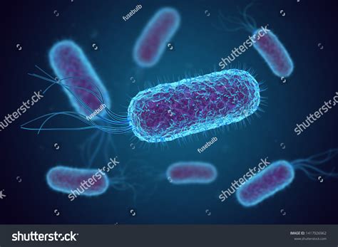5,092 imágenes de Escherichia coli - Imágenes, fotos y vectores de ...