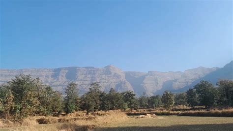 5.5 Acre Agricultural/Farm Land for Sale in Murbad, Thane - by Shree ...
