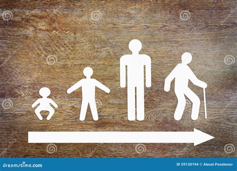 Different Stages Of Human Life Stock Illustration - Image: 59130194