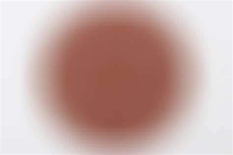 ratisbon's | Doppelschlacht von Brjansk und Wajasma nicht tragbare ...