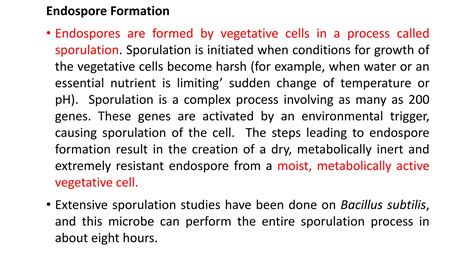Bacterial Endospore.ppt