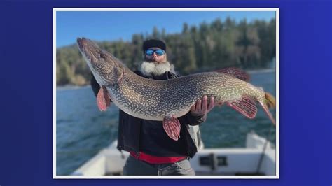 Northern pike caught in Hayden Lake a new Idaho record | ktvb.com