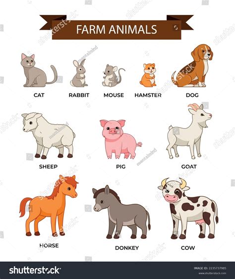 Farm Animals Set Infographics Graphic Elements Stock Vector (Royalty ...