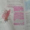 daigram sexual reproduction in flowering plant - Brainly.in