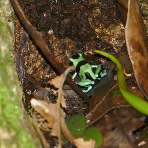 SABALOS LODGE (2026) All You Need to Know BEFORE You Go (with Photos ...