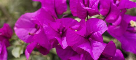 Bienvenidos a Hotel Ecoalbergue Primavera