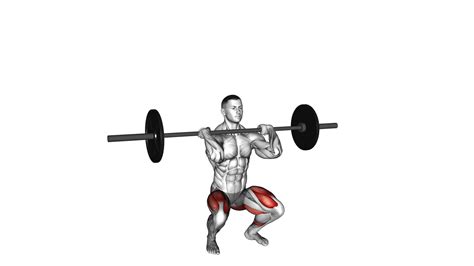 Barbell Clean-grip Front Squat: Video Guide & Tips