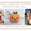 Image result for Simple Crochet Patterns for Beginners Amigurumi