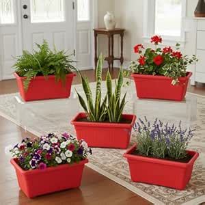 Amazon Brand – Umi Rectangular Plastic Pots for Plants, Jupiter Flower ...