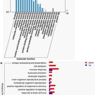 Image result for Go Annotation