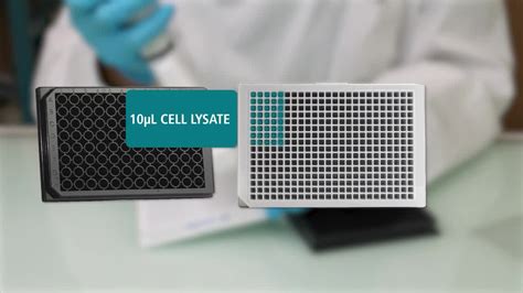 How AlphaLISA™ Surefire® Ultra™ expands research possibilities | Revvity