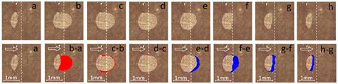 Transition between Friction Modes in Adhesive Contacts of a Hard ...