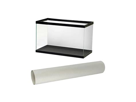 Chennai Aquarium - India’s #1 Online Aquarium & Aquascaping Store