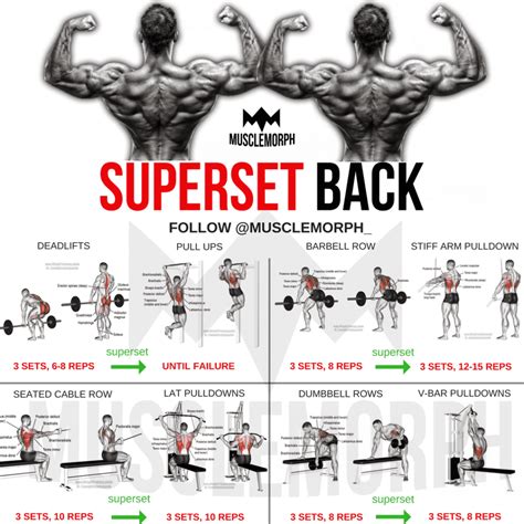 Barbell Back Workout For Mass | EOUA Blog