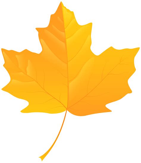 Yellow Maple Leaf Clip Art