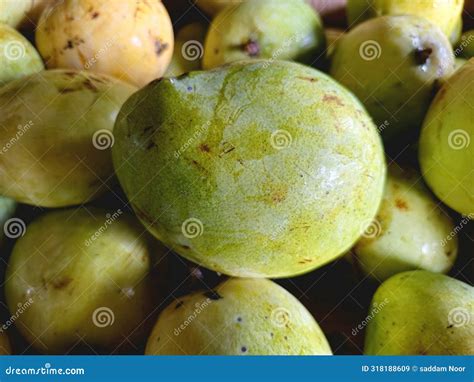 Unripe mangoes stock image. Image of fruits, agricultural - 318188609