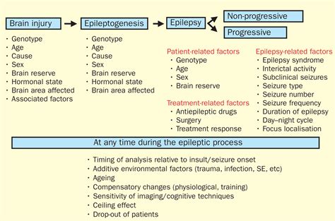 Is epilepsy a progressive disorder? Prospects for new therapeutic approaches in temporal-lobe ...