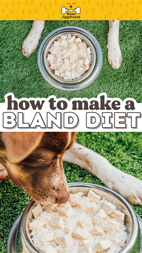 Bland Diet For Dogs (The Complete Guide!) (The Comprehensive Guide ...