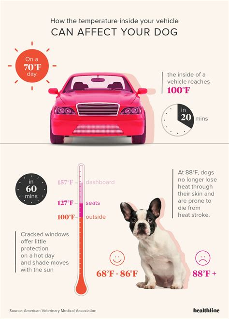 Are Strokes In Dogs Deadly