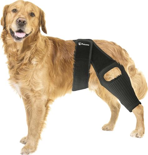 Amazon.com : Dog Knee Brace, Dog Knee Brace for Torn Acl Hind Leg, Dog ...
