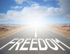 Image result for freedom