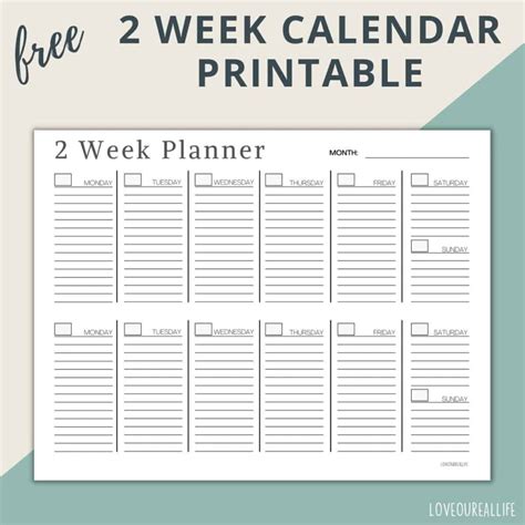 Blank 2 Week Calendar Printable - 2026 Calendar Printable