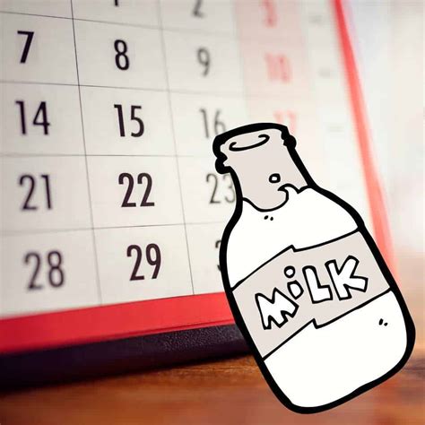 How To Properly Freeze Milk In Ice Cube Trays Or In A Carton? Learn More