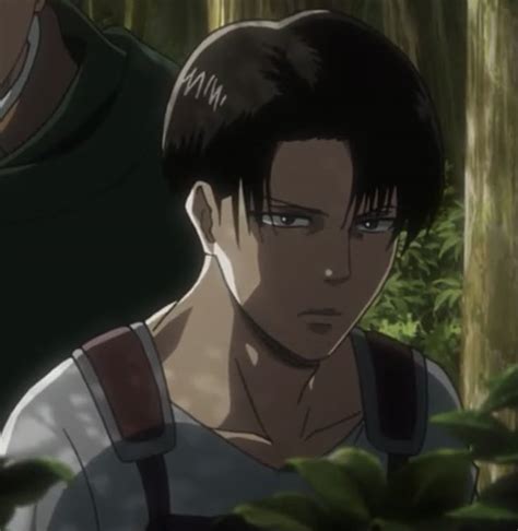 Levi Aot 的图像结果