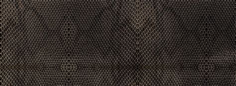 Image result for Python with Black Background