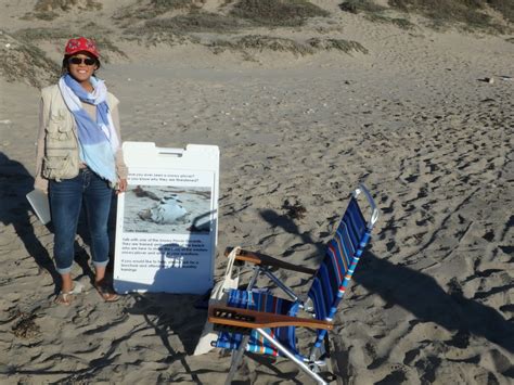 Beach Use - Coal Oil Point Natural Reserve