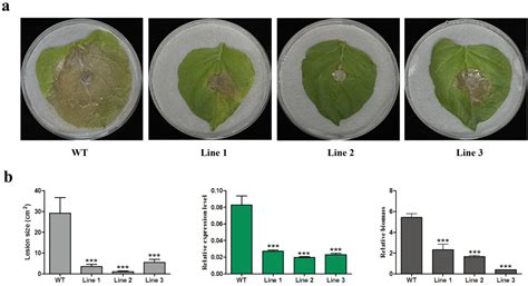Host-Induced Gene Silencing of a G Protein α Subunit Gene CsGpa1 ...