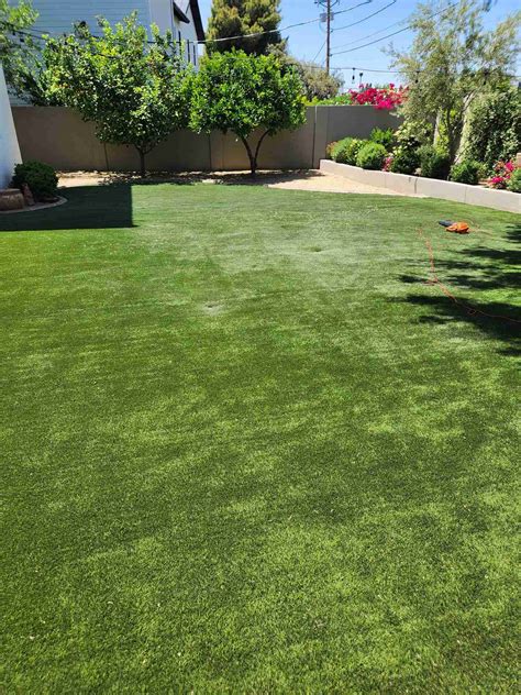 Calcium Deposit & Hard Water Removal Artificial Turf