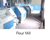 Layer esterification