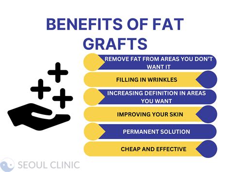 Fat Graft In Korea: Costs, Clinics, Outlook, November 2024