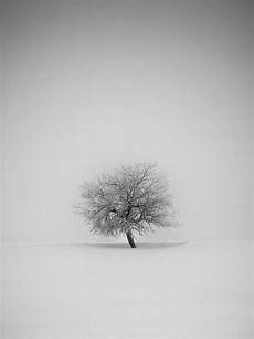 Minimalist Tree Wallpaper Iphone by Ios Android Wallpapers Minimalistic Designs Showcased Bgr Minimalist Tree Wallpaper Iphone
