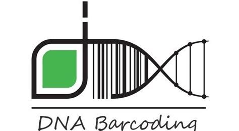 Image result for DNA Barcoding Method PNG