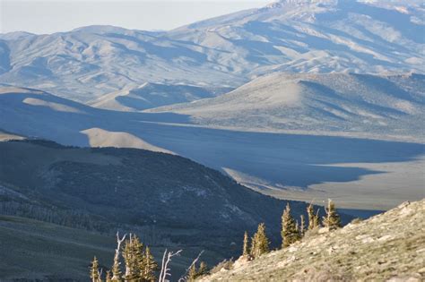 Great Basin Ute: Grouse Creek Mountains, NW Utah