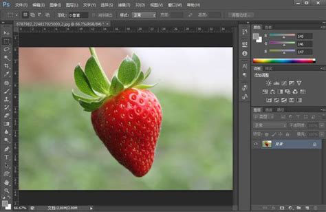 Adobe Photoshop7.0中文版下载-PS7.0中文版 PS7.0绿色版-新云软件园