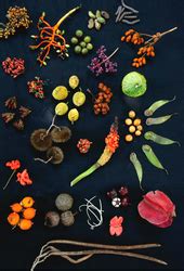 Image result for Lesson Exemplar Example