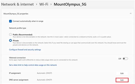 Image result for DNS Server Assignment