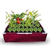 ORGANIC BAZAR 48x24x12 Rectangular Grow Bag with Supporting PVC Pipes ...