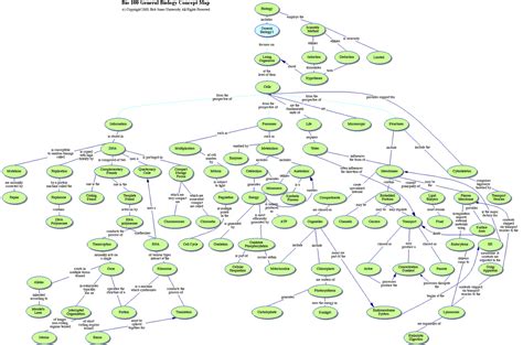 Concept Map Biology 的图像结果