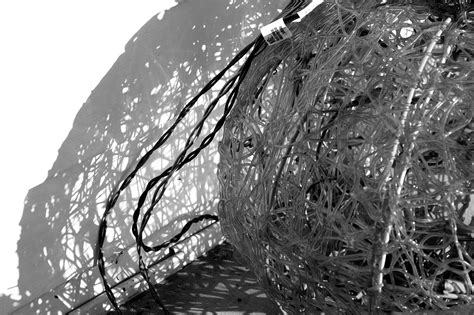 Digital Photography Examples 的图像结果