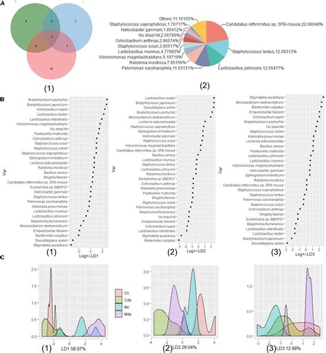Frontiers | Gut Microbiota Comparison Between Intestinal Contents and ...