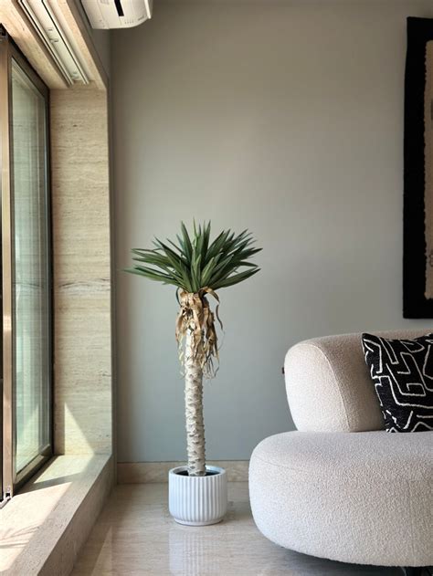 Artificial Tall Plants – Mason Home by Amarsons - Lifestyle & Decor
